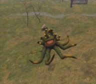 Final Fantasy XI Screenshot